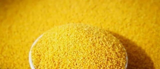 香菇|处暑之后,这五种粗粮可多吃,营养丰富又全面,助我们增强抵抗力!