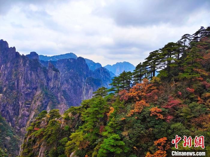 安徽|深秋时节安徽黄山秋色斑斓入画图