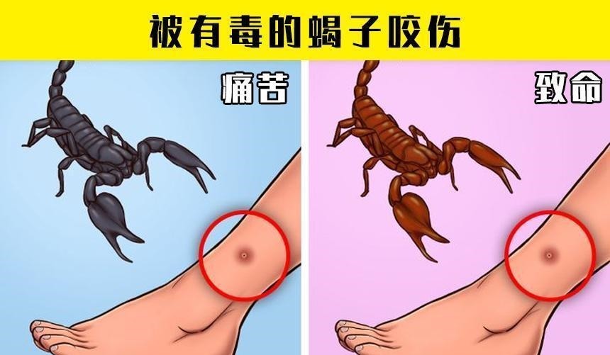 在紧急情况下,或许可以拯救生命的7个小技巧