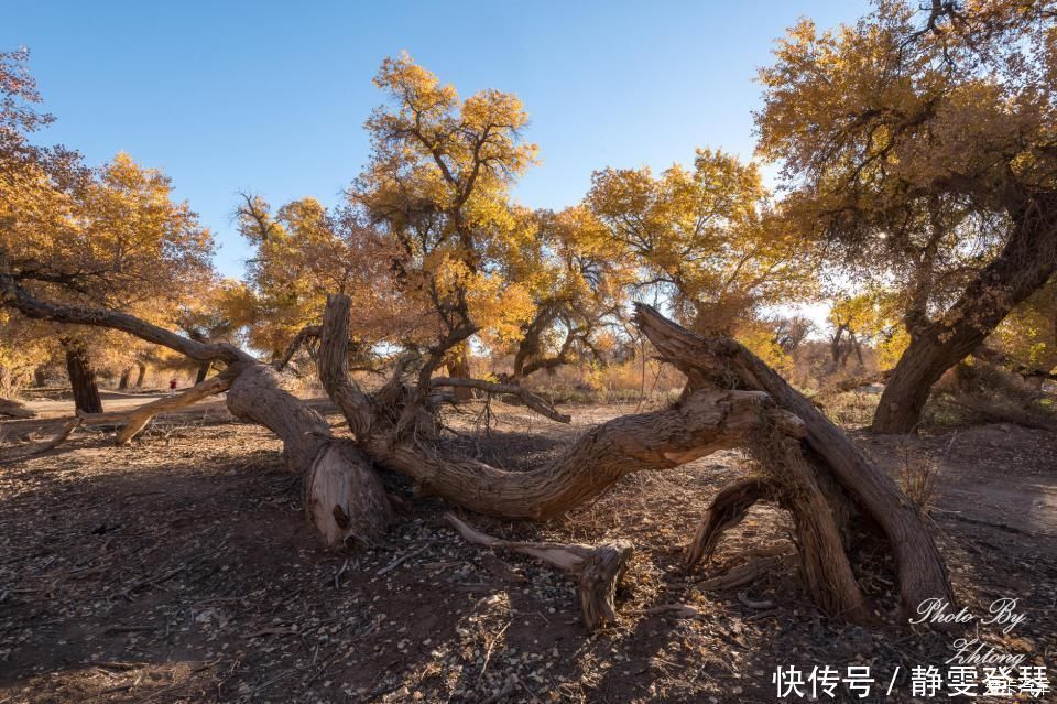 电影《英雄》取景地--内蒙额济纳，记录炫丽迷人的七彩丹霞地貌