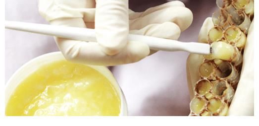 巧克力|吃一次等于10斤巧克力,很多人爱吃,医生:无知,都是自毁乳腺