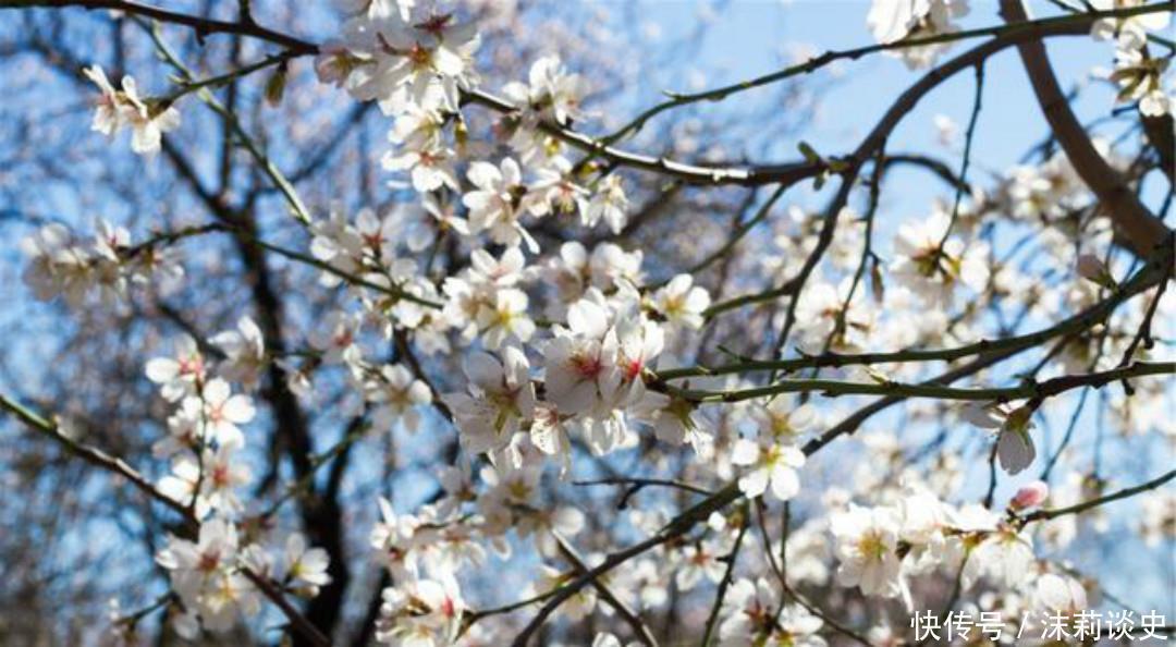 忧愁|王勃最忧愁的一首诗,每一句都感人至深,通篇无一字不忧愁