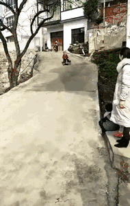 |搞笑GIF:兄弟,你的三蹦子为什么这么优秀?这走位不错啊