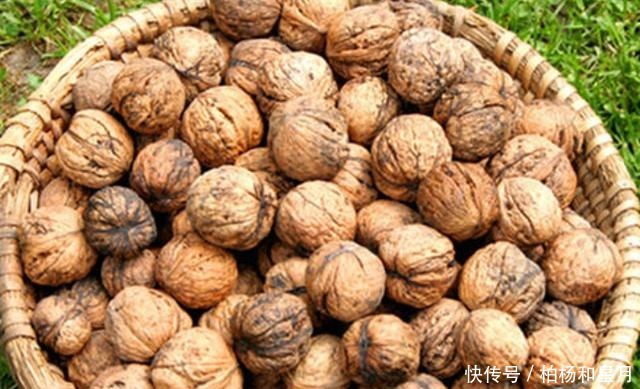 辽宁本溪这四种特产,一个比一个美味,看着就让人“垂涎欲滴”!