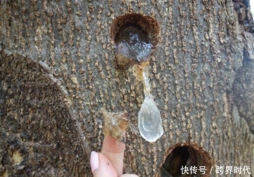 皮肤|40岁女人别不舍得保养,多吃这些“碱性食物”,皮肤细腻光滑