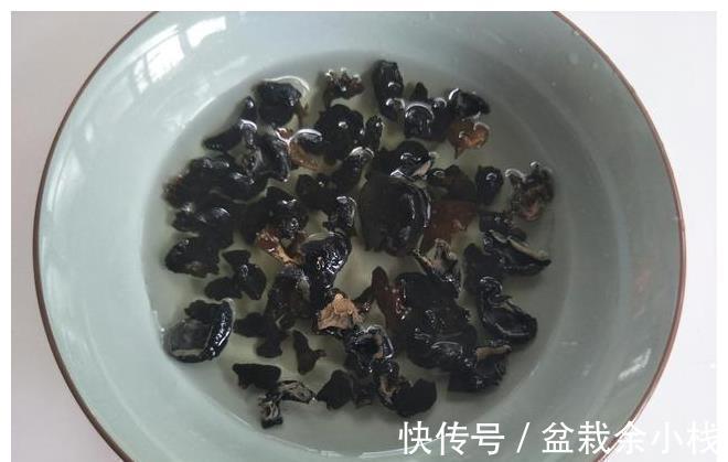 好吃|天越冷，越要多吃素菜，1道好吃的素小炒，家人特别爱吃