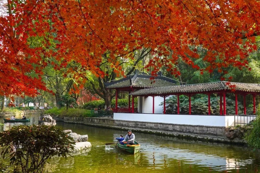 觅得|觅得浦东红黄暖，正是一年好“冬”景