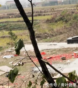 乱建|霍邱这里占用耕地违法乱建官方回复!