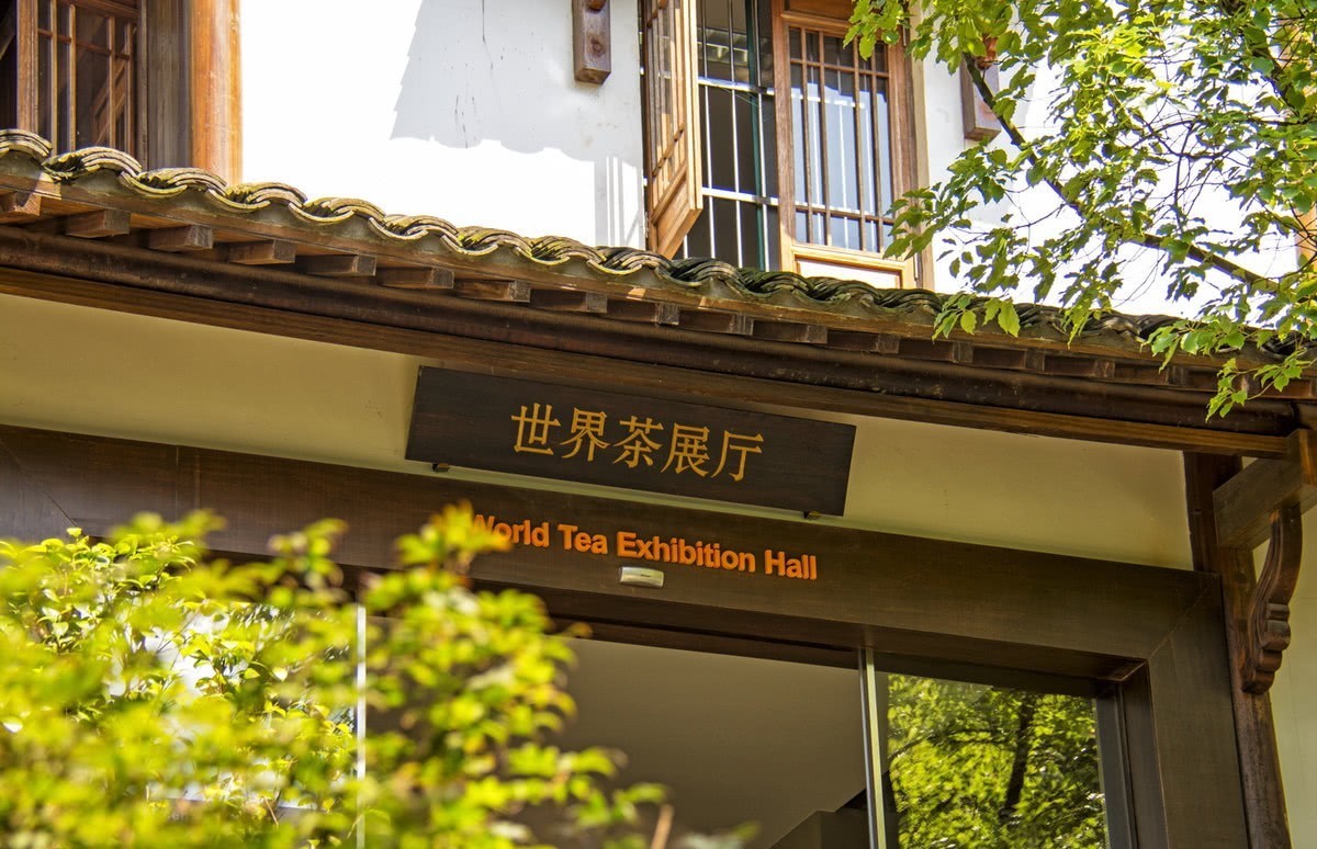 张之洞|1894年,中国茶首次自运出口,就赚几百两,外国资本家开始“坐不住”了