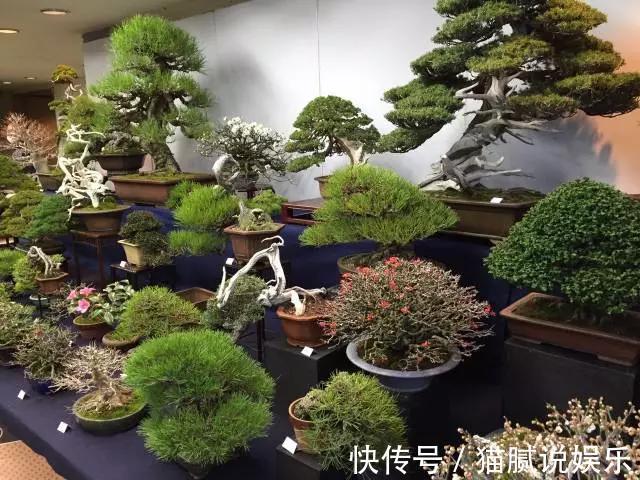 这9种花园,随便1个都美上天了,有一种这辈子就满足了!