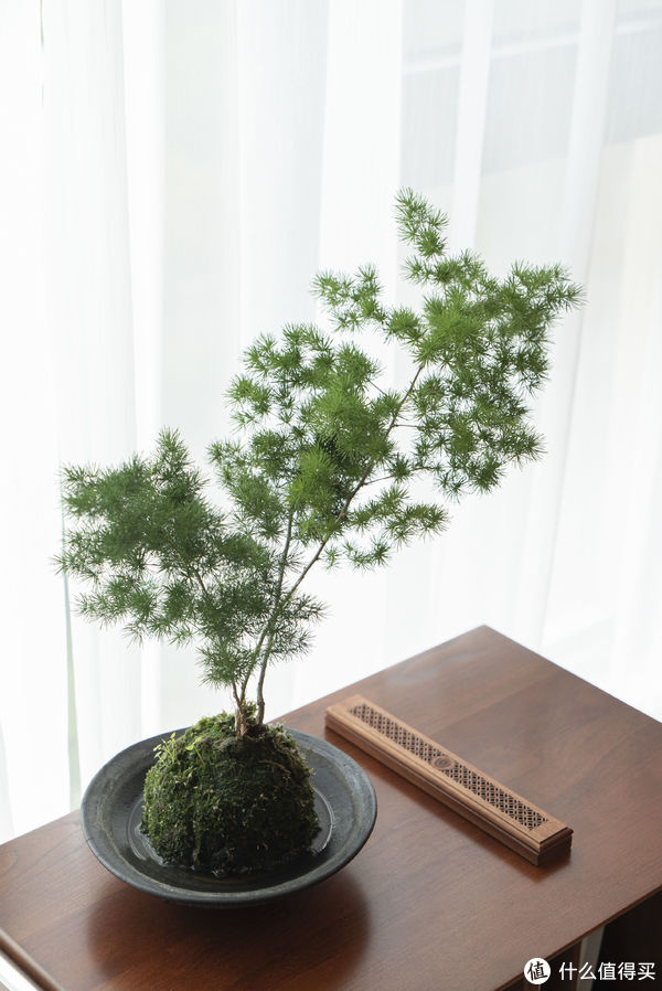 书房|喜欢的实木家具，推荐给装修的朋友