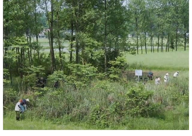 嘉宾|《向往5》快播完了,地还没种完,节目组的操作堪称“教科书”