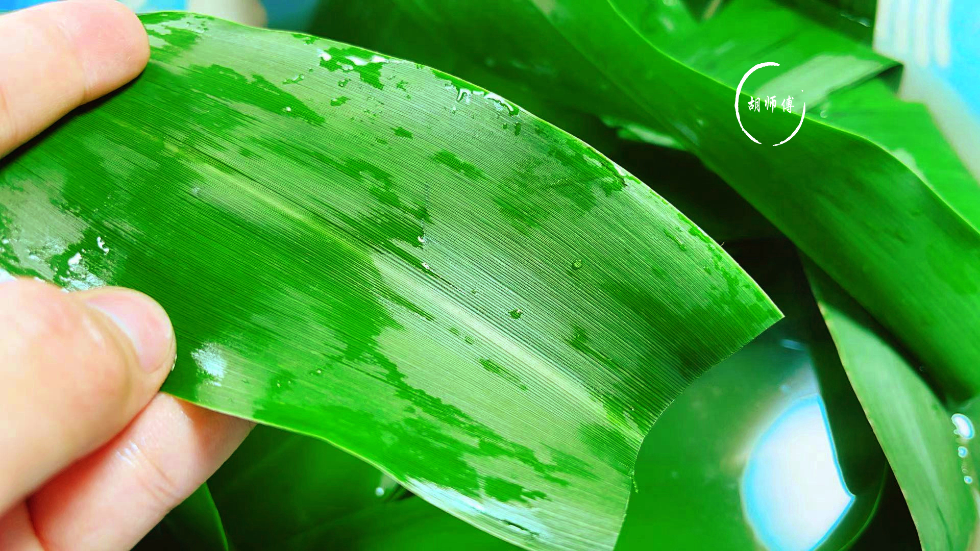 煮粽叶时，最忌只放“水”！多加2样，粽叶柔软又坚韧，不会炸裂