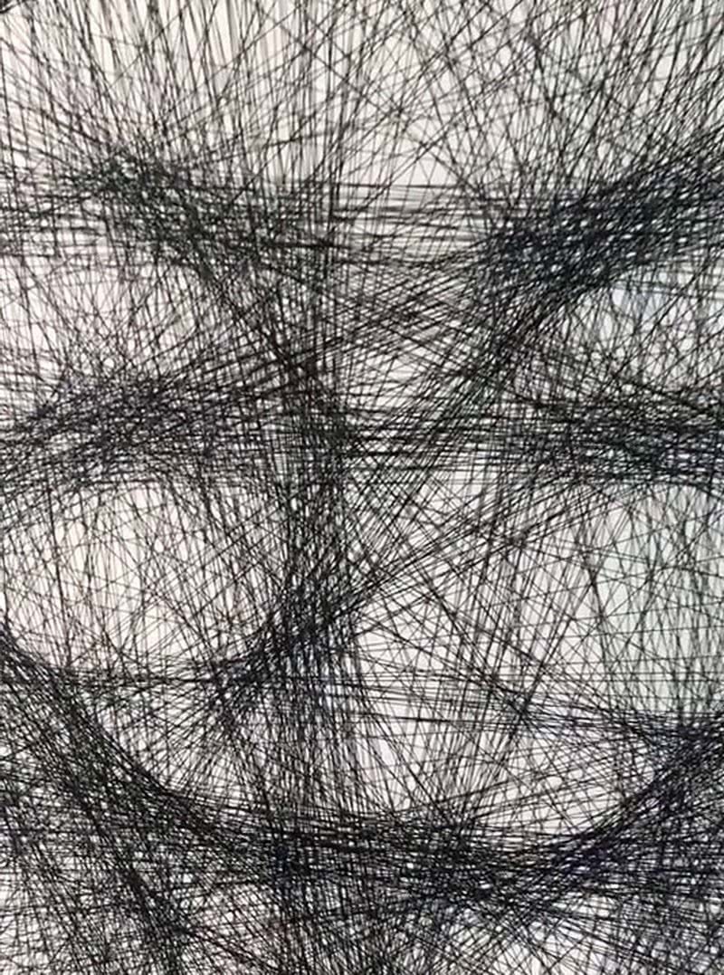 幅画作$美术生画纸上打满直线,还以为在“瞎画”,成画让网友惊艳