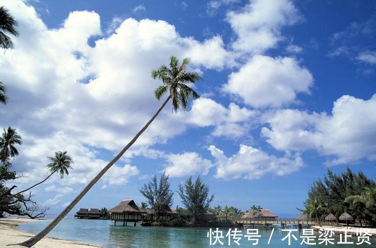 知识|五年制专转本基础知识差 并不是不能转本成功