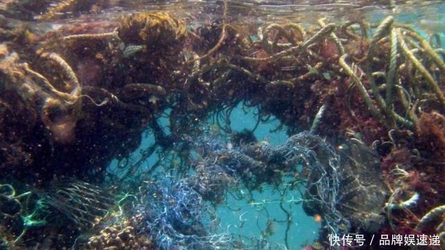 衛星拍下一幕一巨型“浮島”正逼近中國,向全球發出的嚴正警告