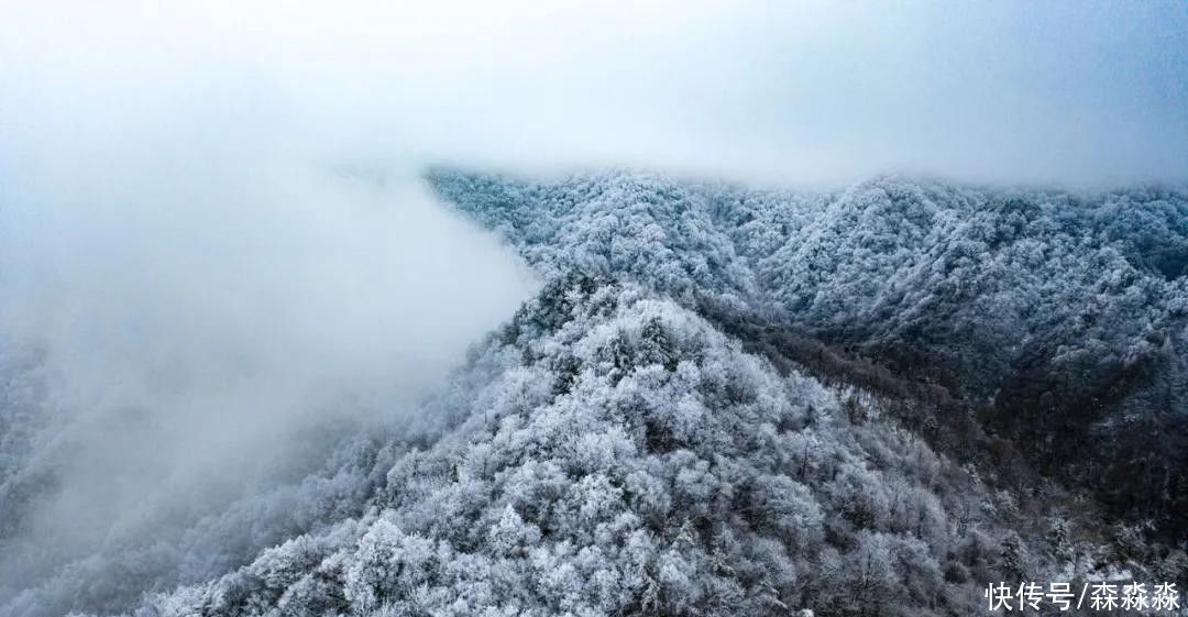 山下|十里风雪天涯路，秦岭雪乡留下吧，紫柏山下是我家