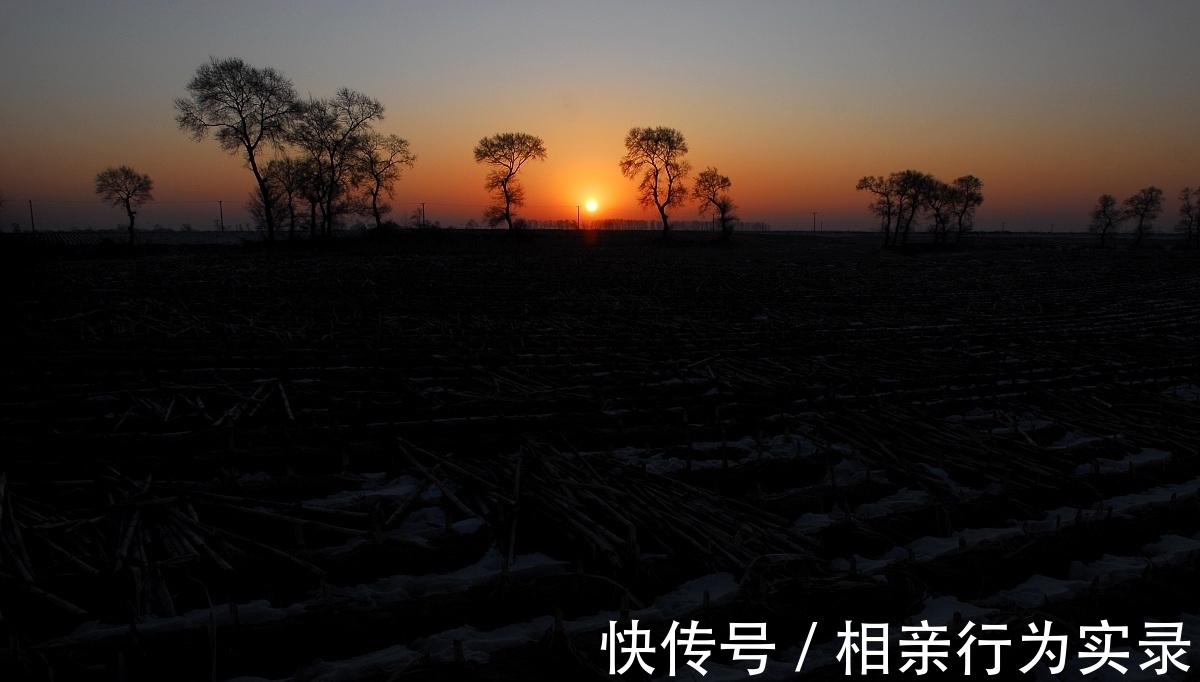 暖阳#你是天上云,我是雾中人