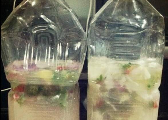 养花|想要自制肥养花降低成本,该如何操作学4招变废为宝省大笔钱