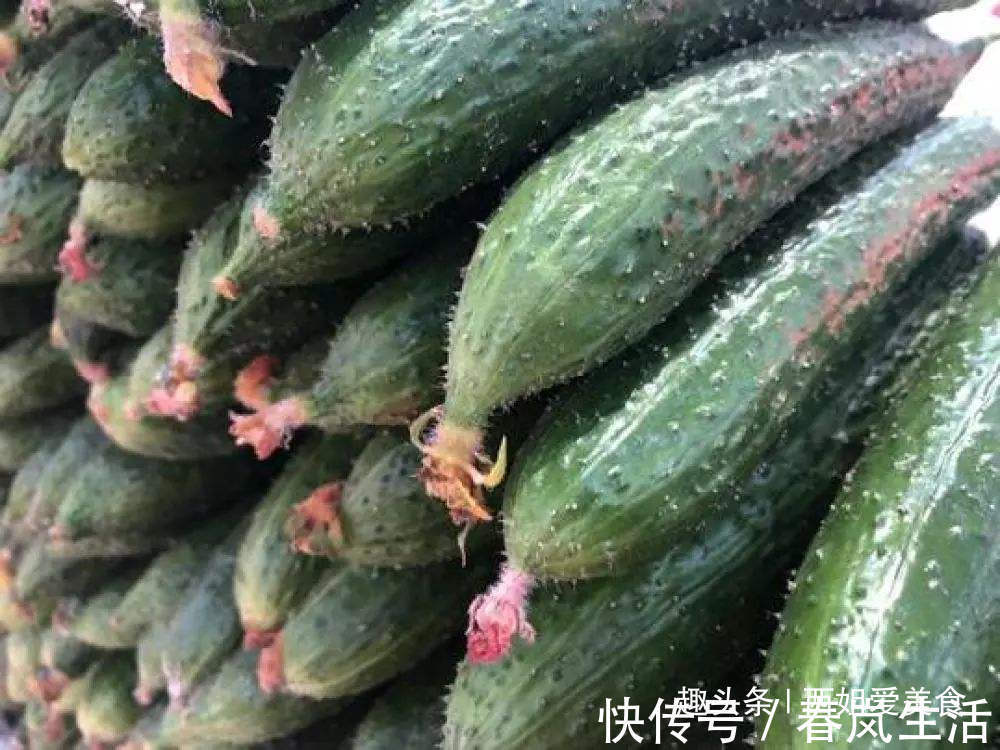 买黄瓜时，别直接拿了就走，记得看清这4点，味道浓郁更可口