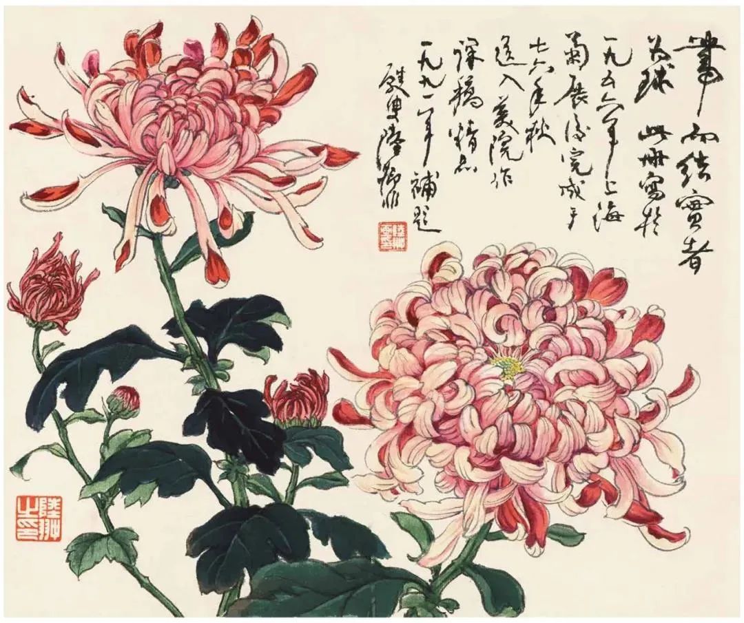 苏州美专#陆抑非花鸟课徒稿，漂亮