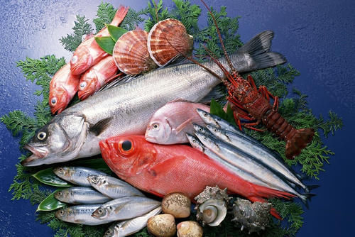 维生素e|吃虾皮能补钙吗？错！营养师：真正补钙的是这5种食物，早知为好