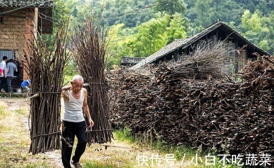 阳数!寿命都有坎?古人云36不提,73不说,84不讲,100要藏什么意思?