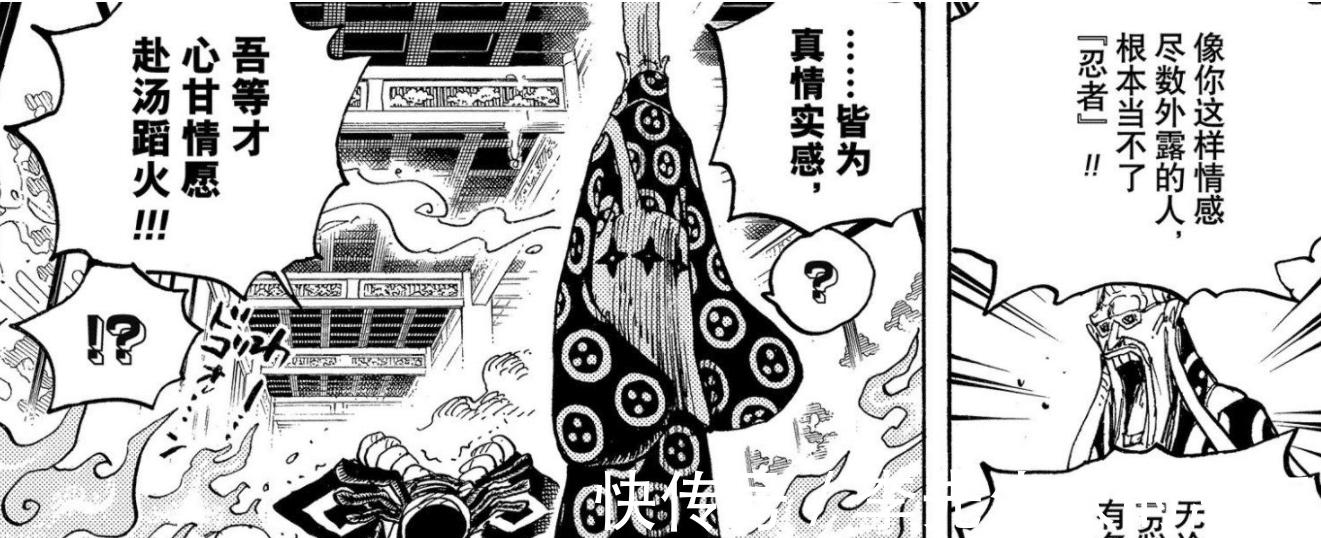 尾田|海贼王:1038话延续奇葩职业对决,尾田还真的不待见忍者