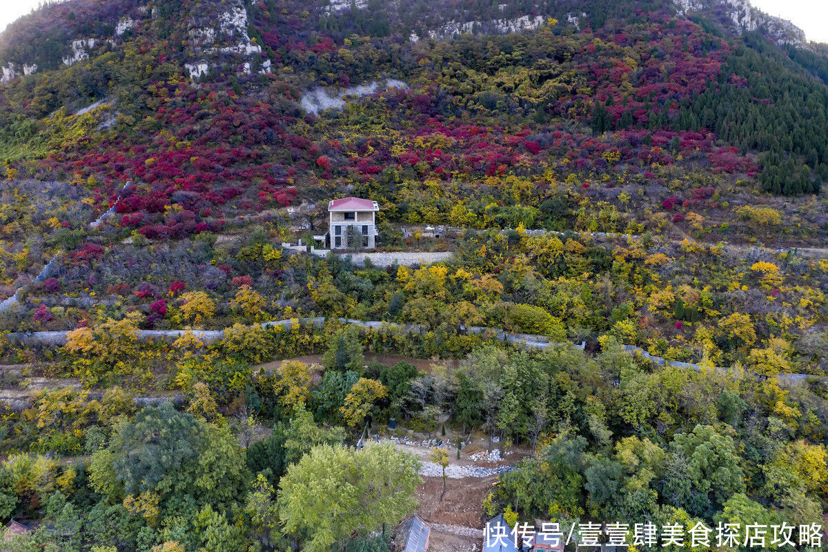 山东少有的石头古村，巧夺天工的石堂山房首尾相连，等你来敲门