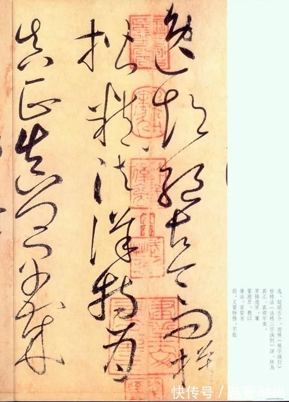 宋苏舜钦!怀素《自叙帖》奔蛇走虺势入座,骤雨旋风声满堂