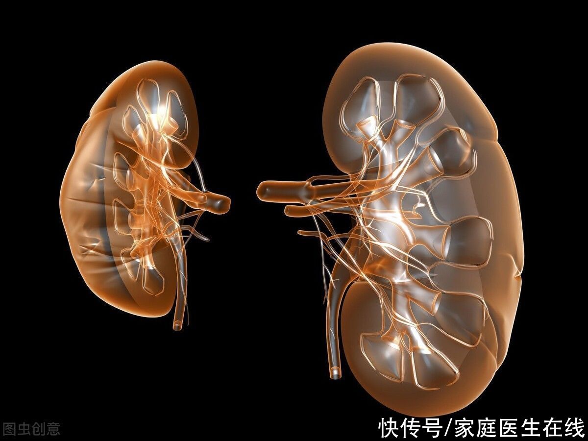 慢性腎衰竭是怎么引起的？這5種疾病，不得不防