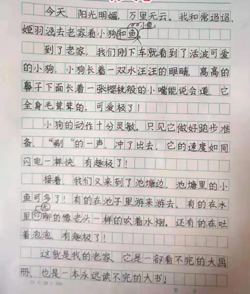 家长晒二年级学霸的日记，字迹堪比“印刷体”，成为家长传阅焦点