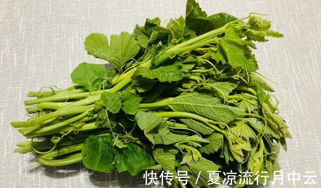 橙皮|夏天碰到这种菜，一定不要错过了，无论是清炒还是凉拌都超好吃！