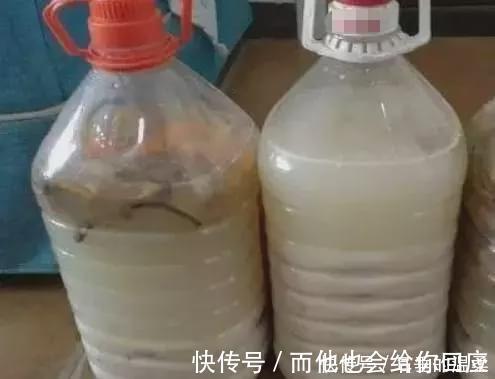 什么果皮渣、大豆渣,都不如这种“渣滓”,盆里埋一点养啥都旺