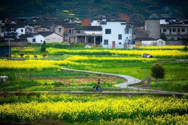 2021黄山春天之旅