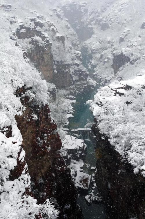  王保利：云台大雪不飞雪｜中原作家