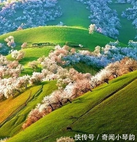 雪山|新疆很美的地方，风景照被人误会ps过，是旅游者的天堂