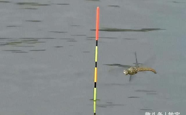 冬日钓鱼,牢记4个技巧就足够了,少搞那些花里胡哨的