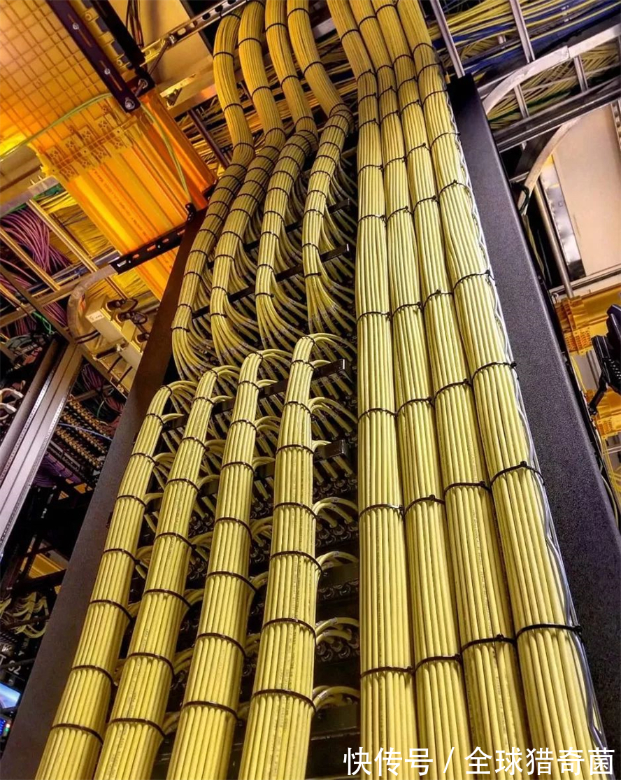 摄影|35张“活久见”的完美图片,强迫症瞬间被治愈了