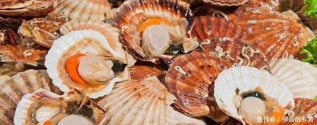 干贝怎么洗厨师教你技能,很简单