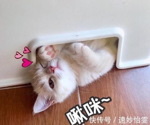 宝藏|孕妇洗护用品切记乱花钱!吹爆被“埋没角落”的宝藏洗护实力担当