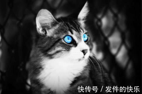 |幽默笑话:今天,我遇到了前女友,她说的话,让我胜读十年书!