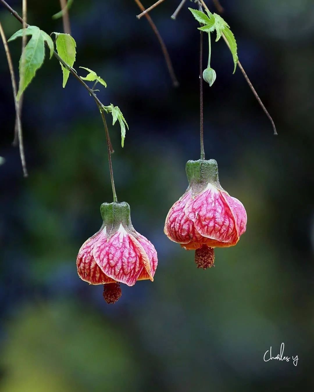 荐读|荐读——人生的最高境界,就一个字:给!
