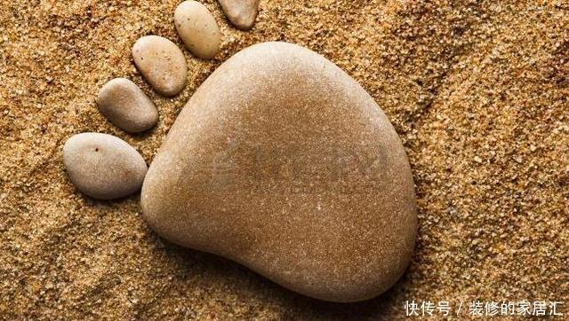 配土|养花不知道怎么配土?用这五种废料就够了