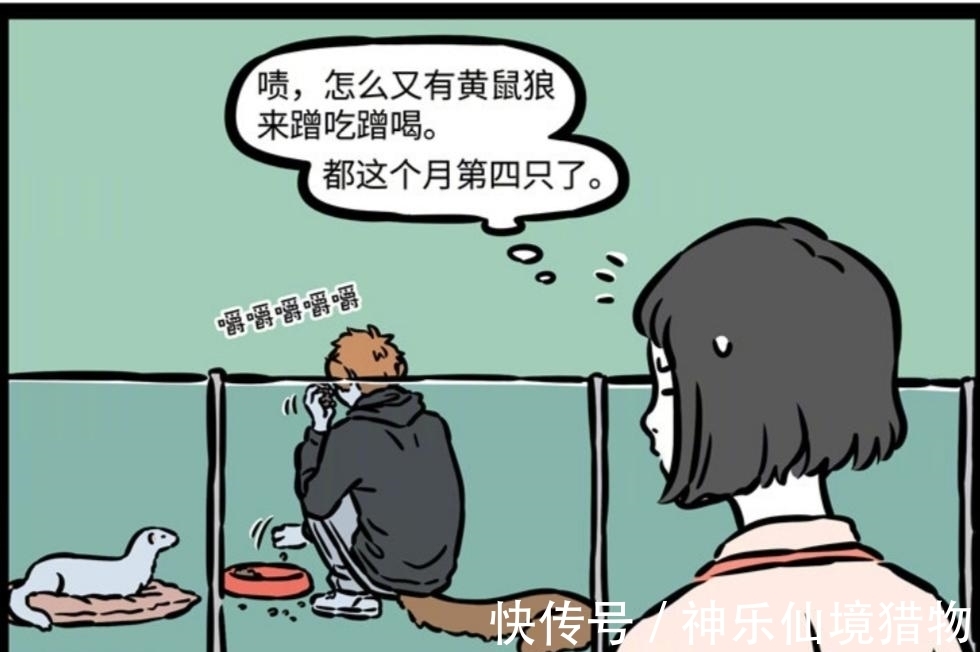 变身术|非人哉：黄大仙嘲讽貂兄无抱负，一颗貂粮打脸，抱负再大不如吃得香