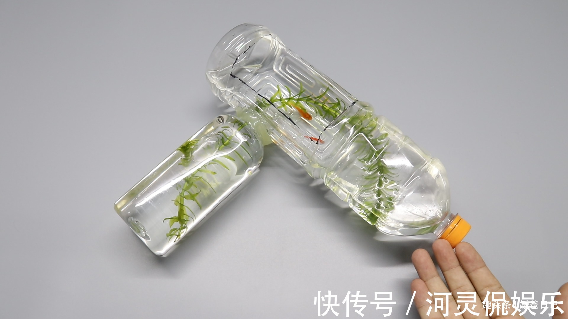 鱼缸|塑料瓶卖了不值钱，可以用来制作鱼缸，锻炼下孩子的动手能力