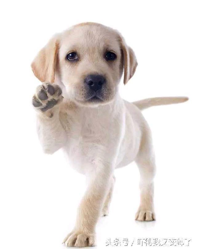 |开心一刻笑话:公交车上开着空调,我忍不住将体内的胀气排出体外