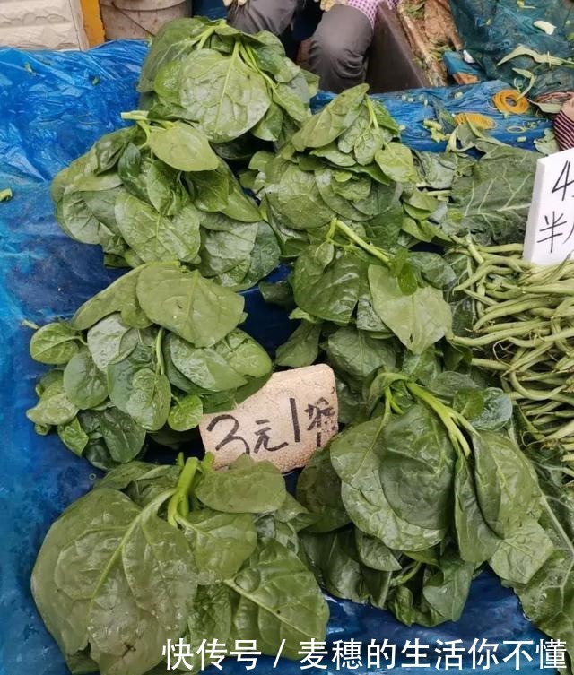 吃起来滑溜溜的这个菜,你喜欢吗!