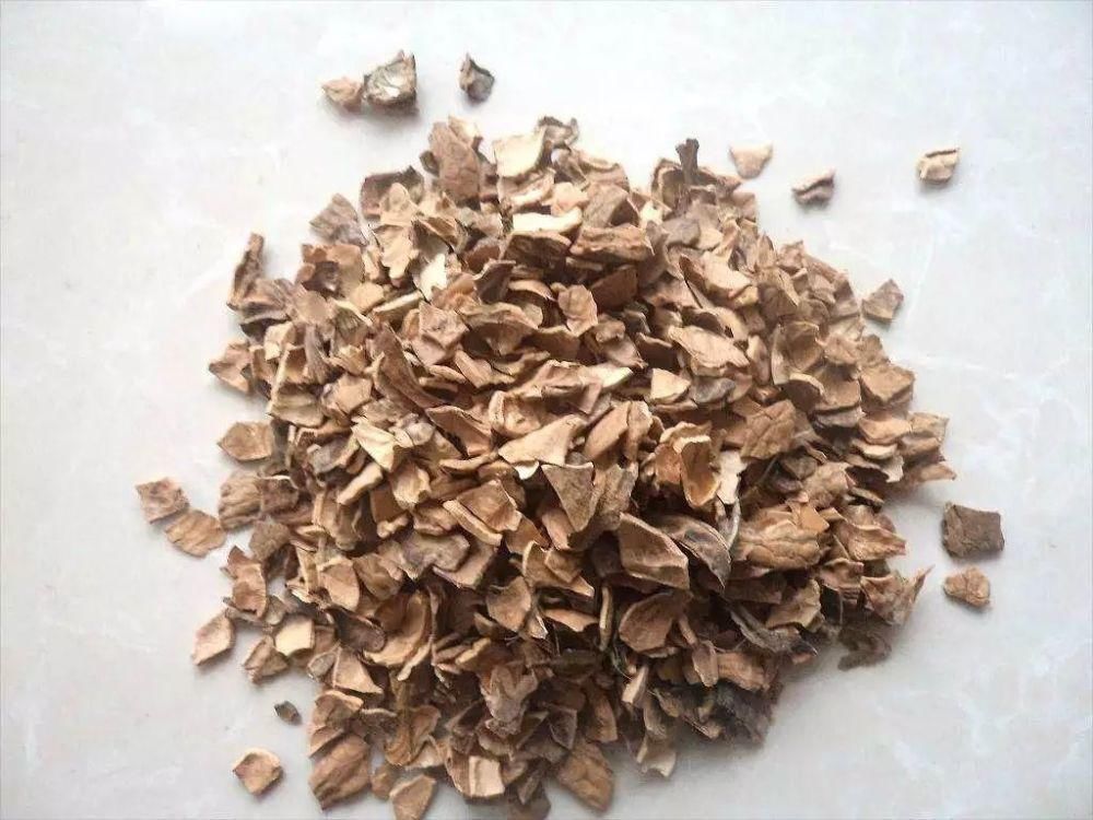 老花匠：扔4种“东西”，就是扔钱，比花肥还好用，不花钱！