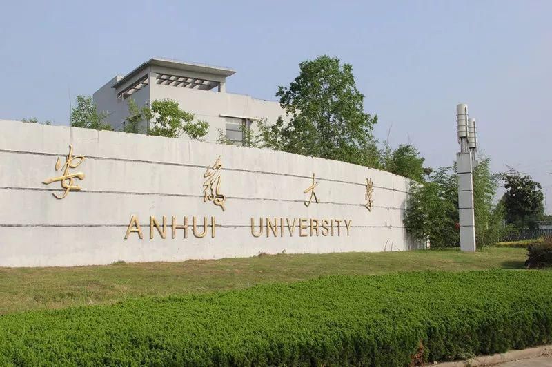 学科|这十所大学性价比高，很适合中等生报考